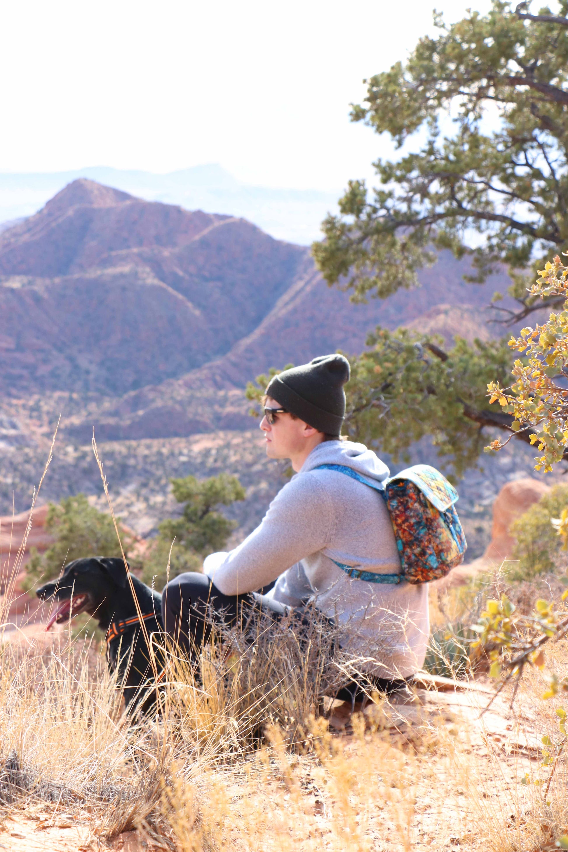 Switchback - convertible backpack/shoulder bag- Bags by Annie pattern