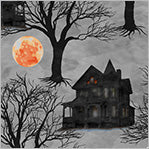 Full Moon Shadow Haunted House