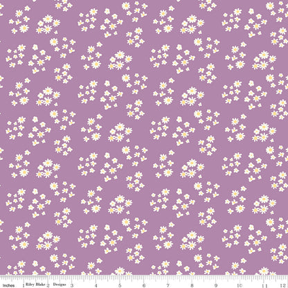 Hello Spring - Daisies - C12962 - Lavender